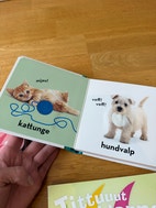Miniatyrbild