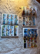 Miniatyrbild