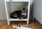 Miniatyrbild