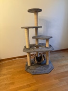 Miniatyrbild