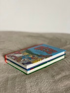Miniatyrbild
