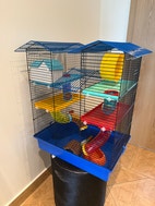 Miniatyrbild