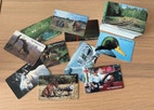 Miniatyrbild