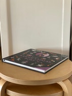 Miniatyrbild