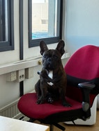 Miniatyrbild