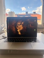 Miniatyrbild