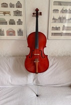 Miniatyrbild