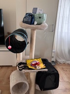 Miniatyrbild