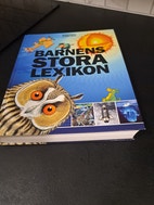 Miniatyrbild