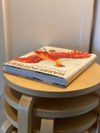 Miniatyrbild