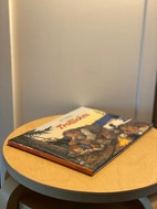 Miniatyrbild