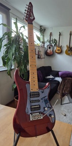 Miniatyrbild