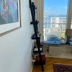 Miniatyrbild