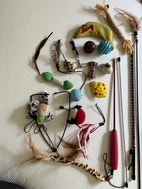 Miniatyrbild