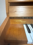 Miniatyrbild