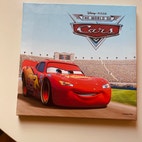 Miniatyrbild
