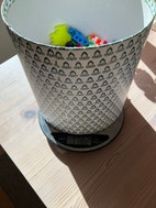 Miniatyrbild