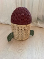 Miniatyrbild