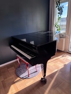 Miniatyrbild