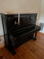 Miniatyrbild
