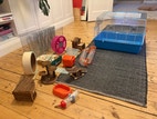 Miniatyrbild