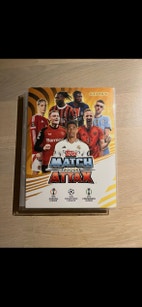 Miniatyrbild