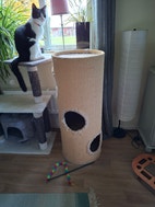 Miniatyrbild