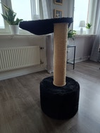 Miniatyrbild
