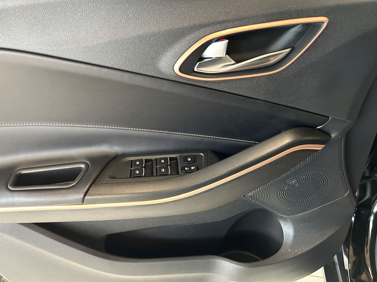 JAC e-JS4, 193ps, 2022