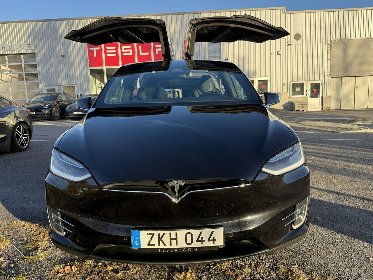 Tesla Model X 100D, 423hp, 2018