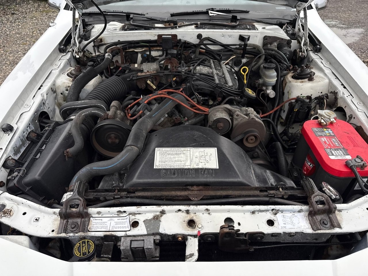 Mercury Cougar 3.8 V6 SEFI Automatic, 4-trins, 142ps, 1988