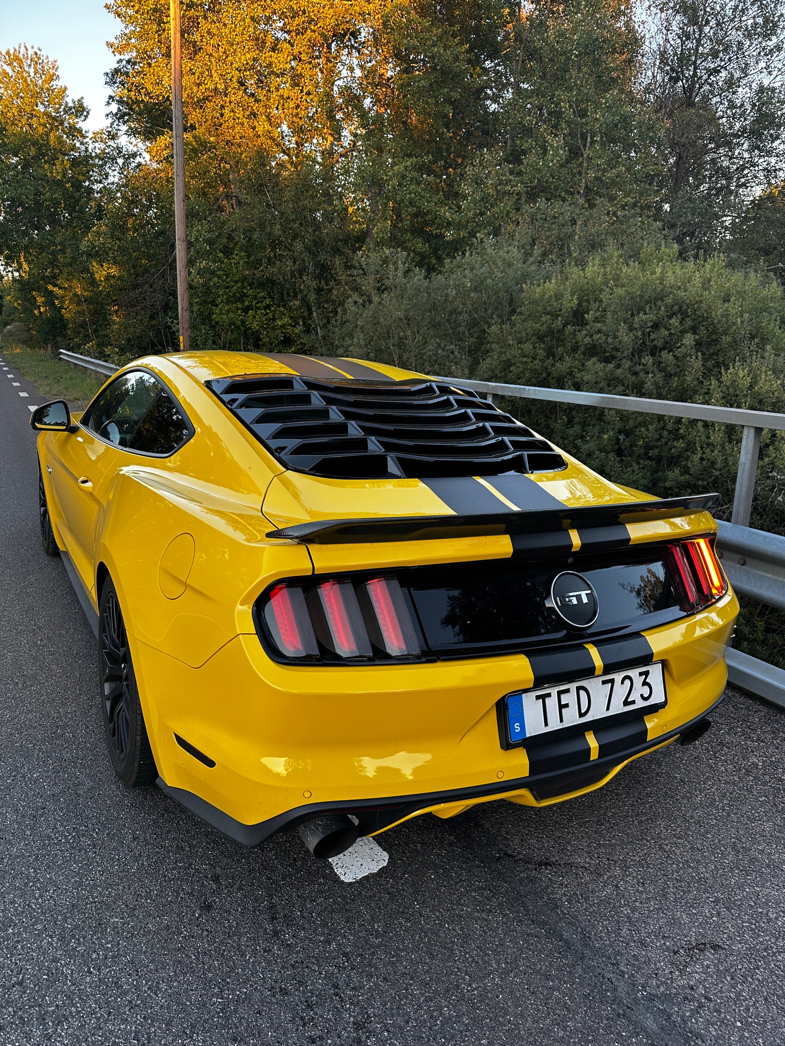 Ford Mustang GT Manual, 421hp, 2015