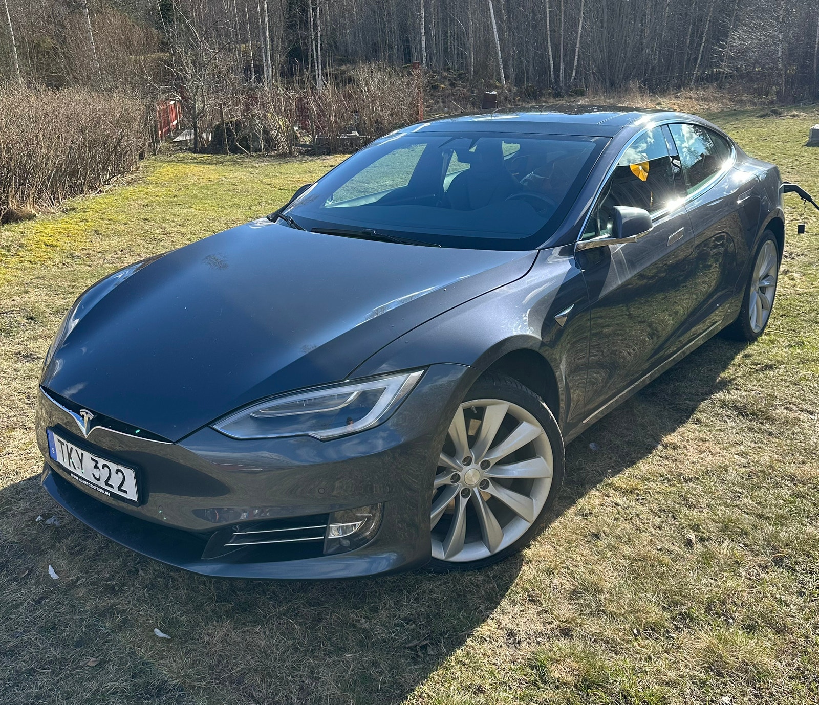 Tesla Model S 100D, 525ps, 2018