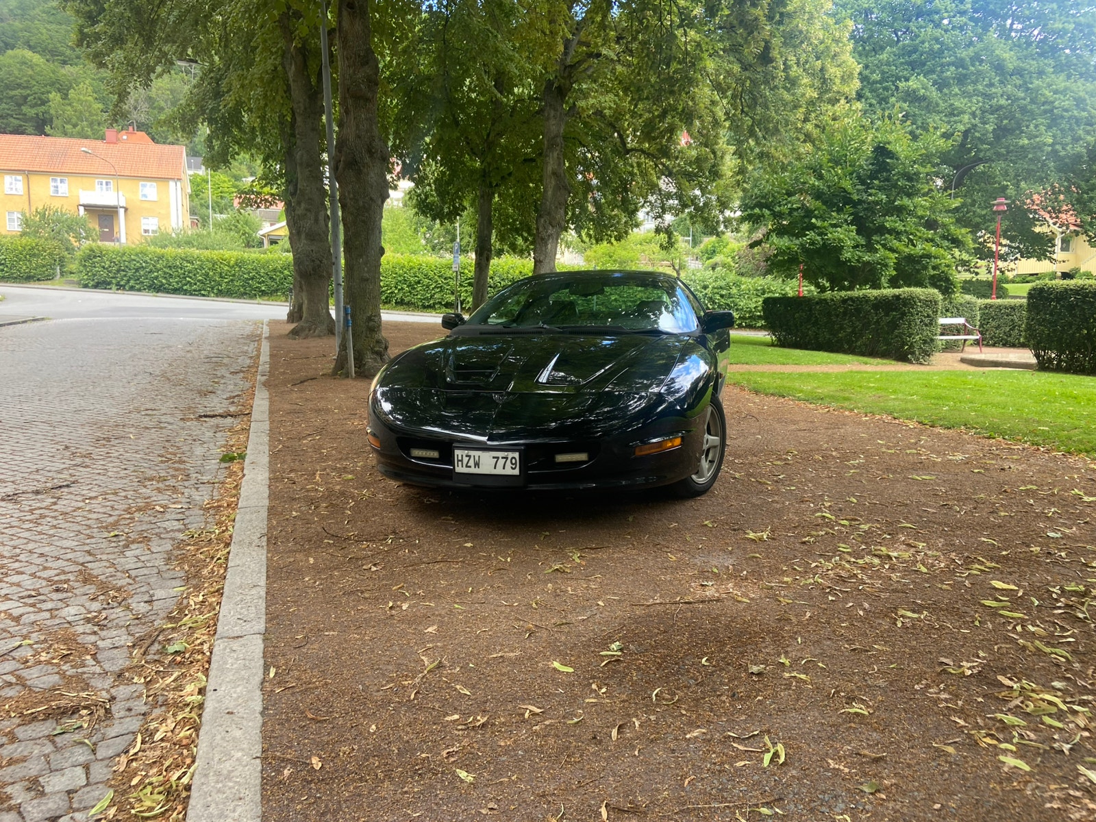 Pontiac Firebird 3.4 V6 Hydra-Matic, 148hk, 1993