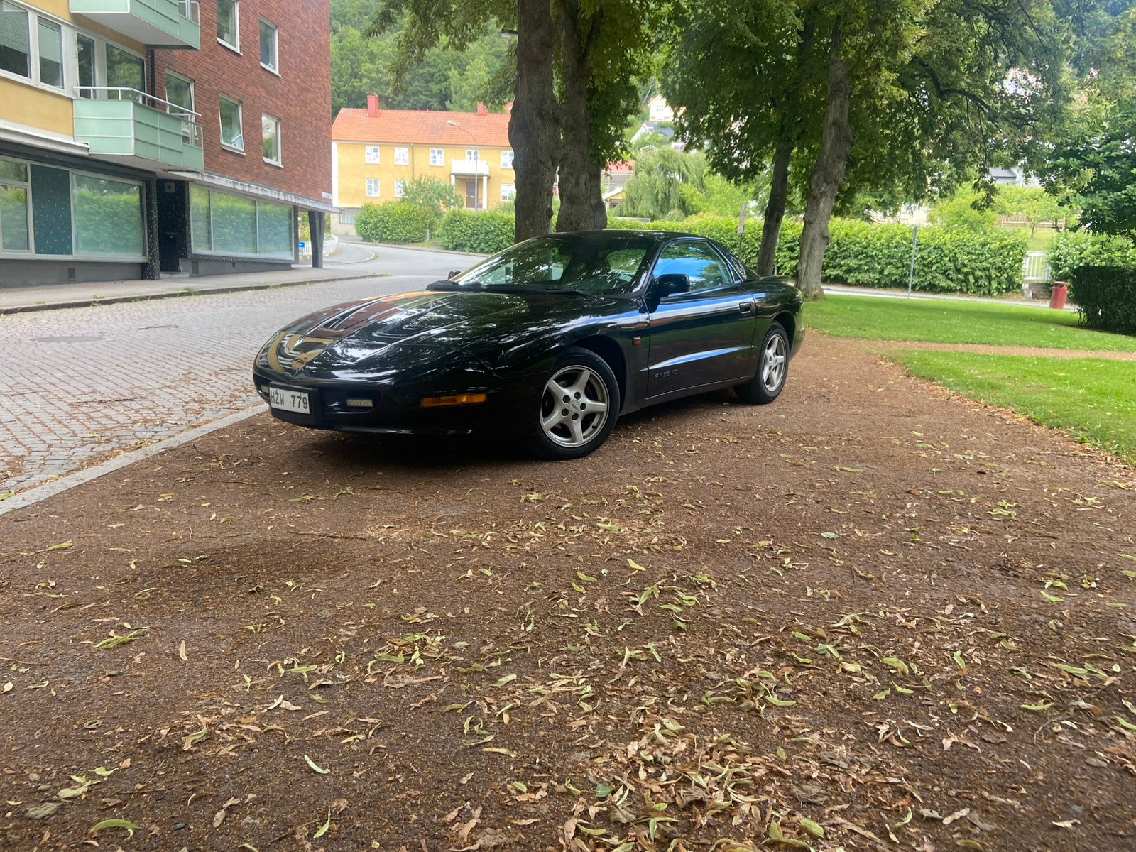 Pontiac Firebird 3.4 V6 Hydra-Matic, 148hk, 1993