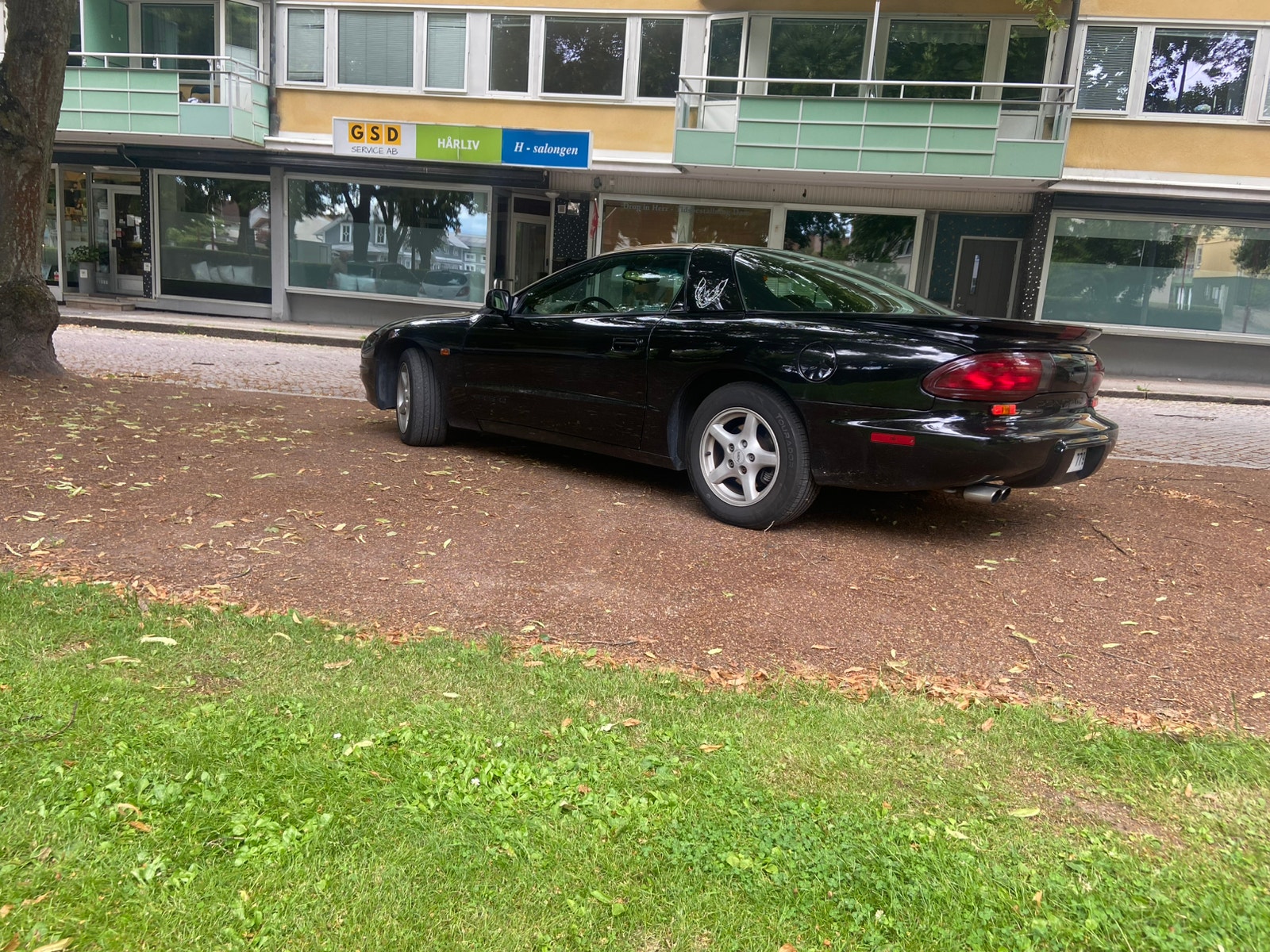 Pontiac Firebird 3.4 V6 Hydra-Matic, 148hk, 1993