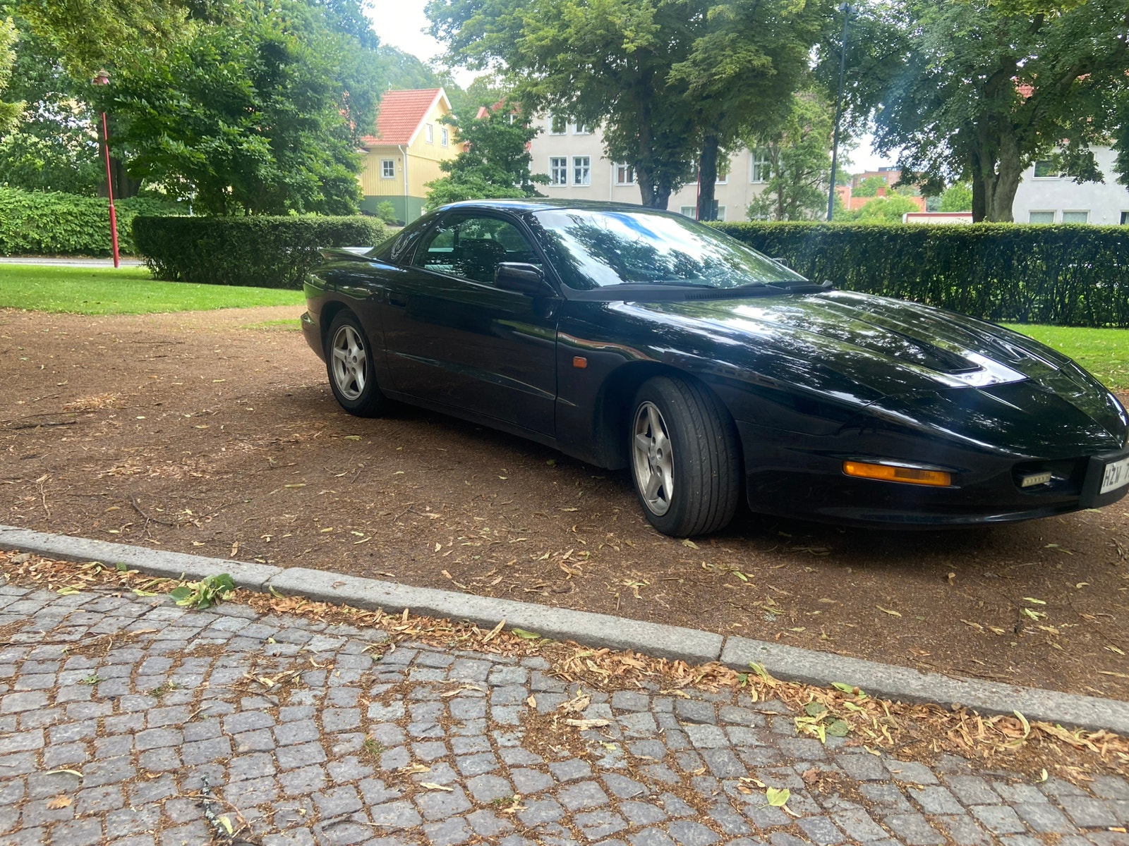 Pontiac Firebird 3.4 V6 Hydra-Matic, 148hk, 1993