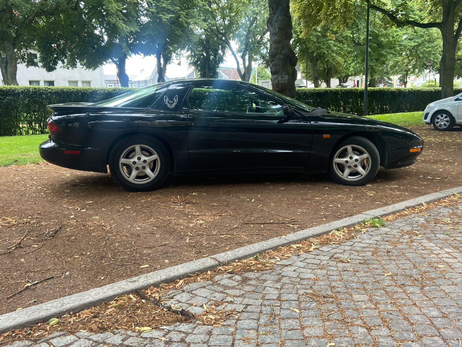 Pontiac Firebird 3.4 V6 Hydra-Matic, 148hk, 1993