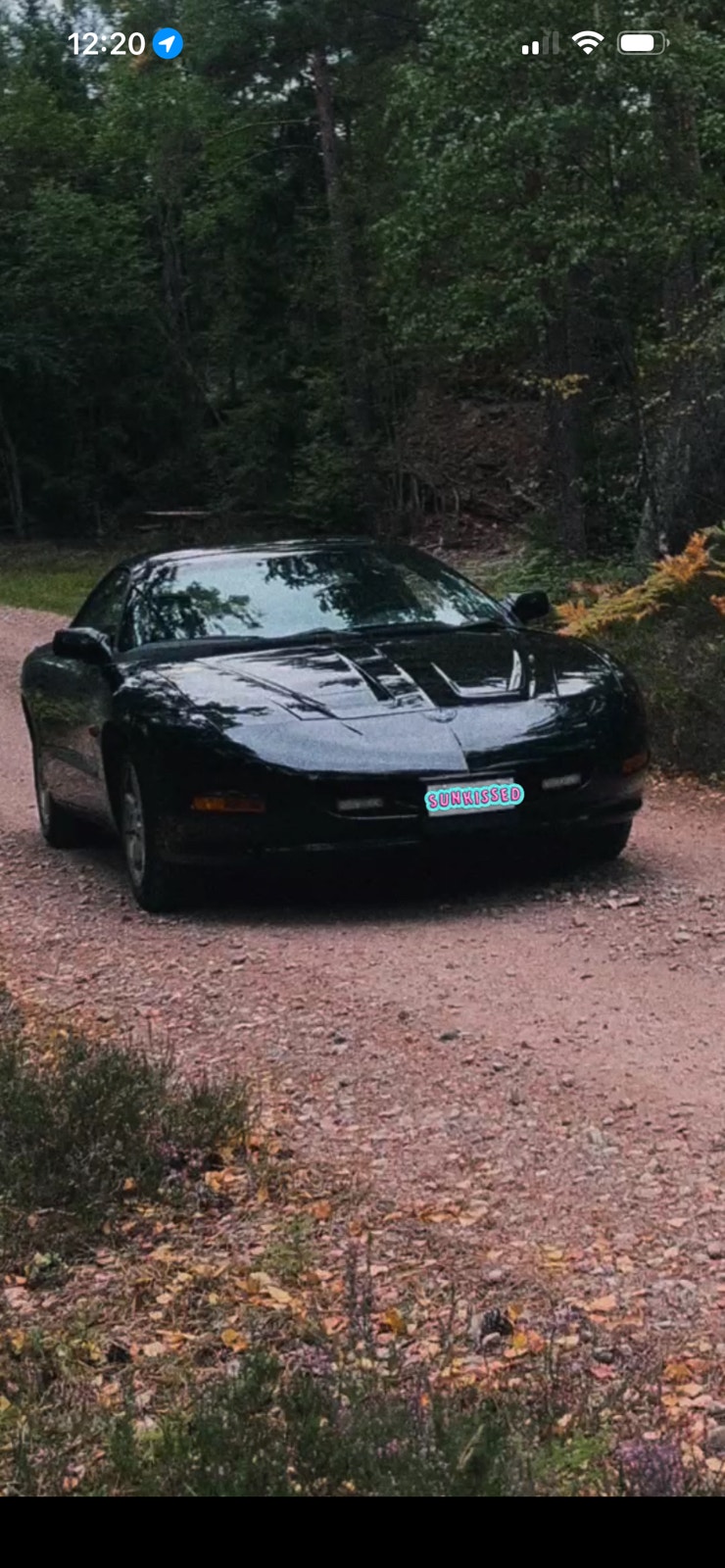 Pontiac Firebird 3.4 V6 Hydra-Matic, 148hk, 1993