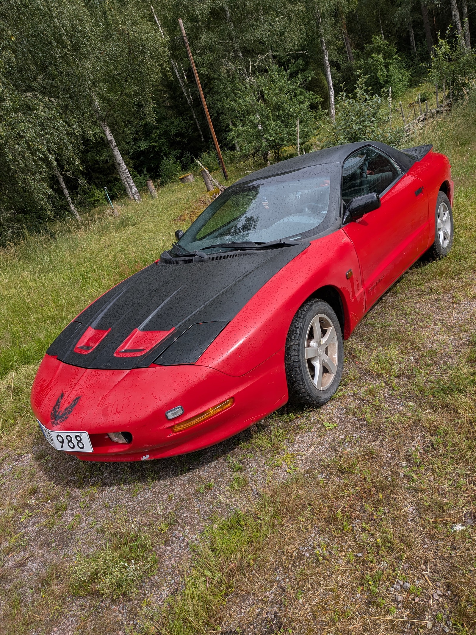 Pontiac Firebird 3.4 V6 Manuell, 148hk, 1995