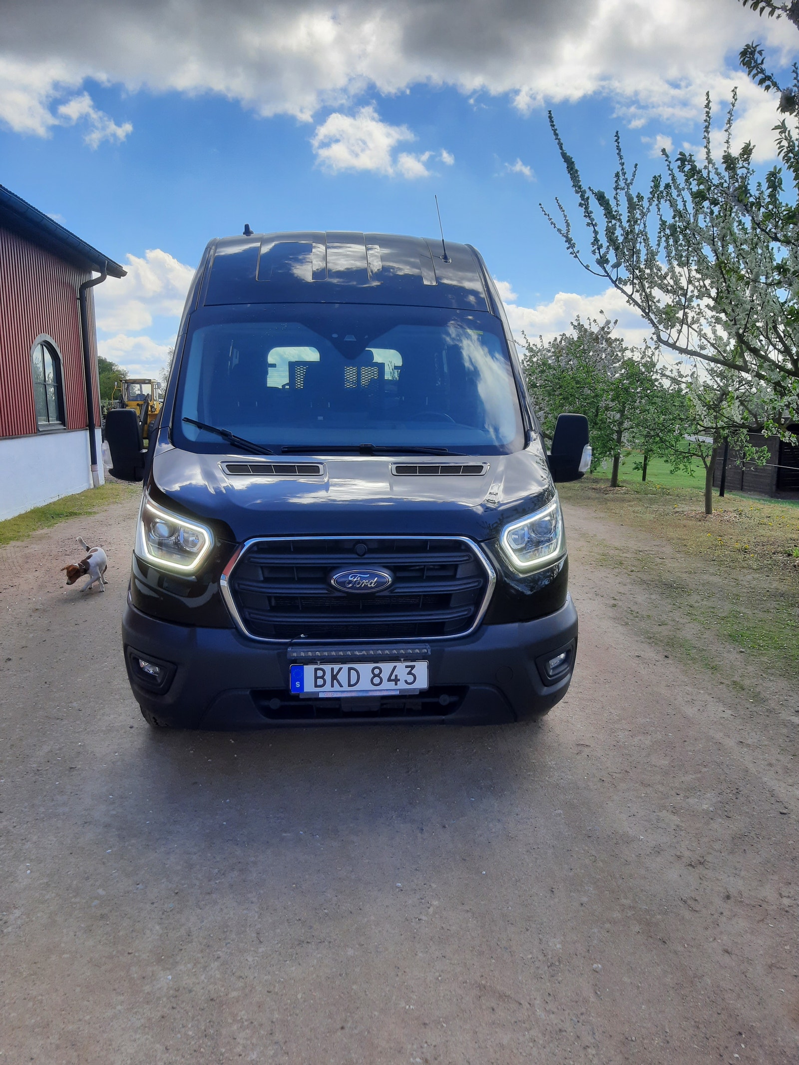 Ford Transit 310 Kombi 2.0 EcoBlue SelectShift, 170hk, 2020