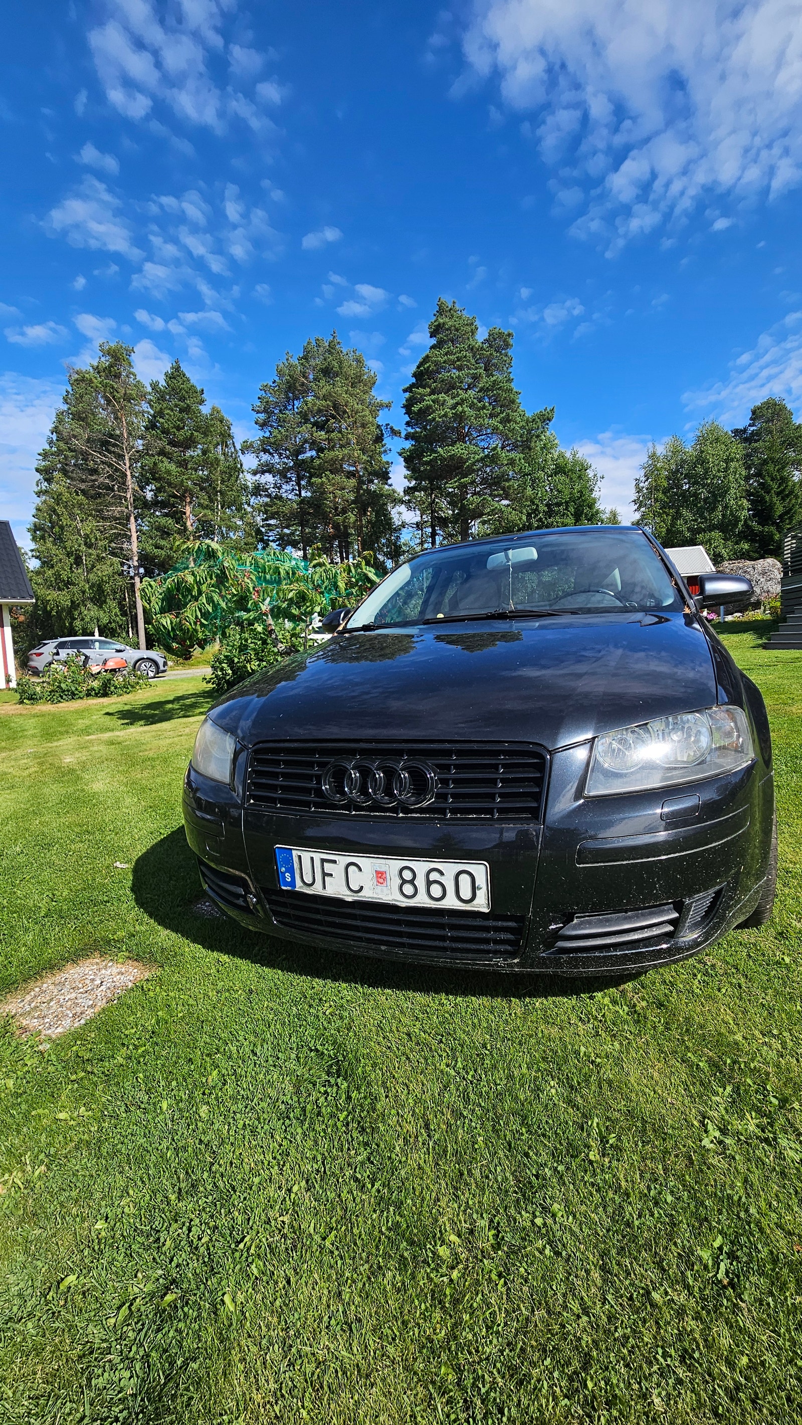 Audi A3 1.6 8v Manual, 102hp, 2004