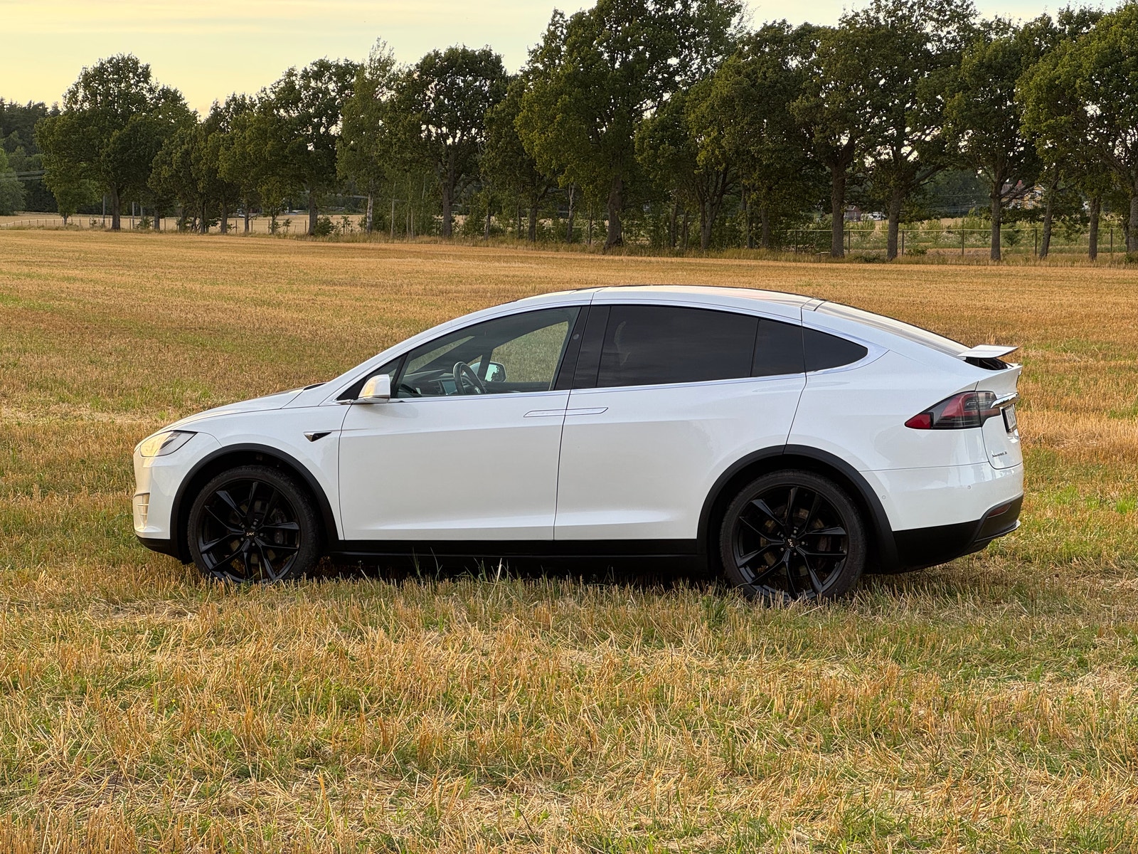 Tesla Model X 100D, 423hk, 2017
