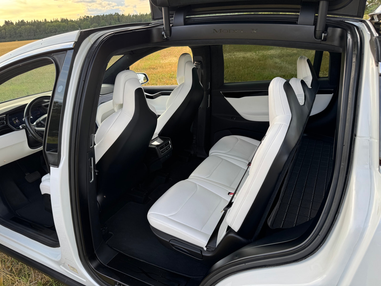 Tesla Model X 100D, 423hk, 2017
