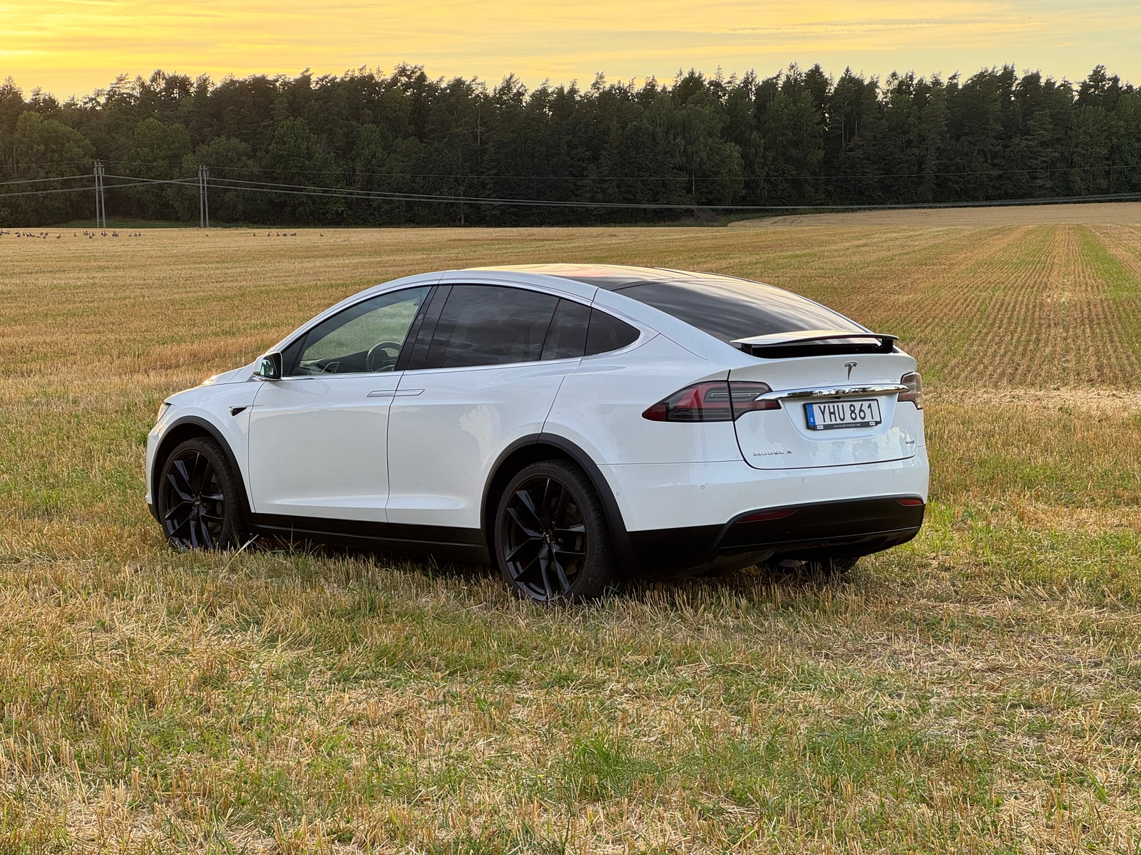 Tesla Model X 100D, 423hk, 2017