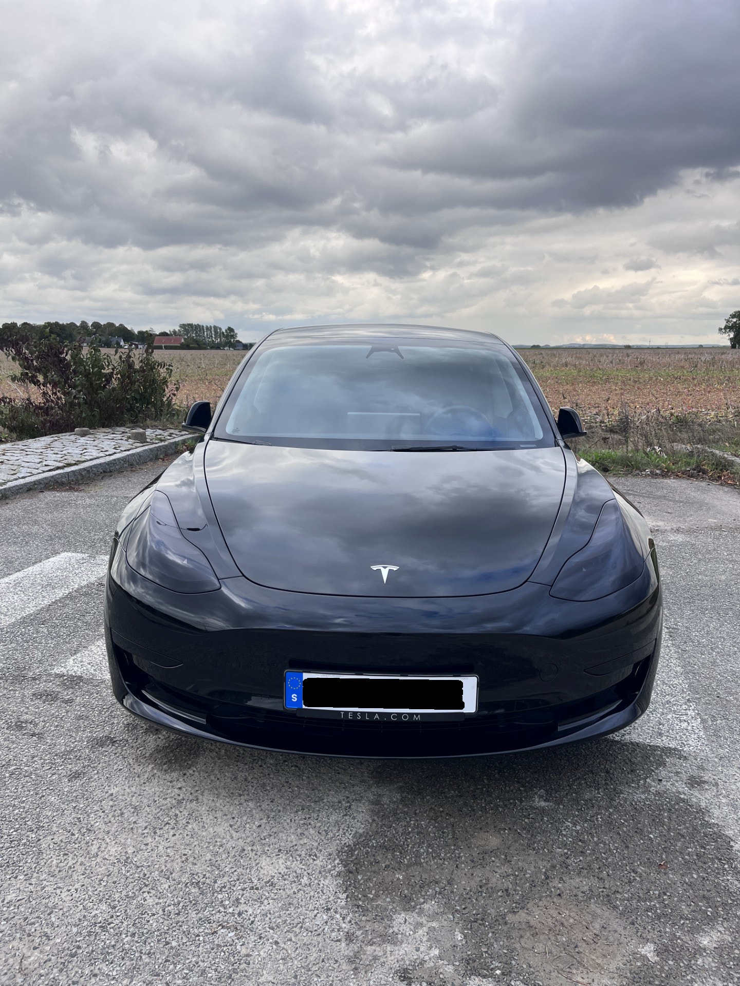 Tesla Model 3 Standard Range, 283ps, 2023