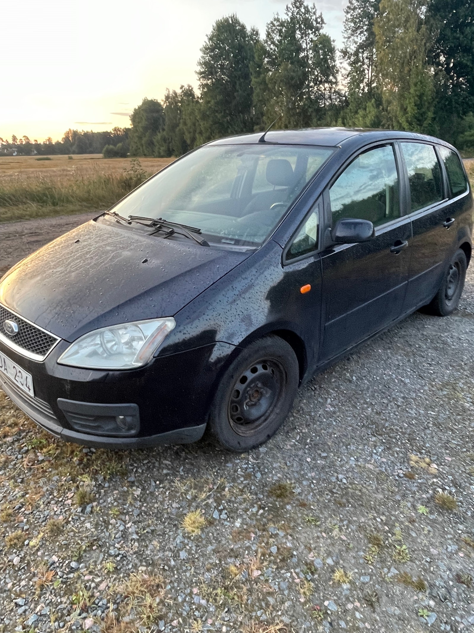 Ford Focus C-MAX 1.8 Flexifuel Manual, 5-trins, 125ps, 2006
