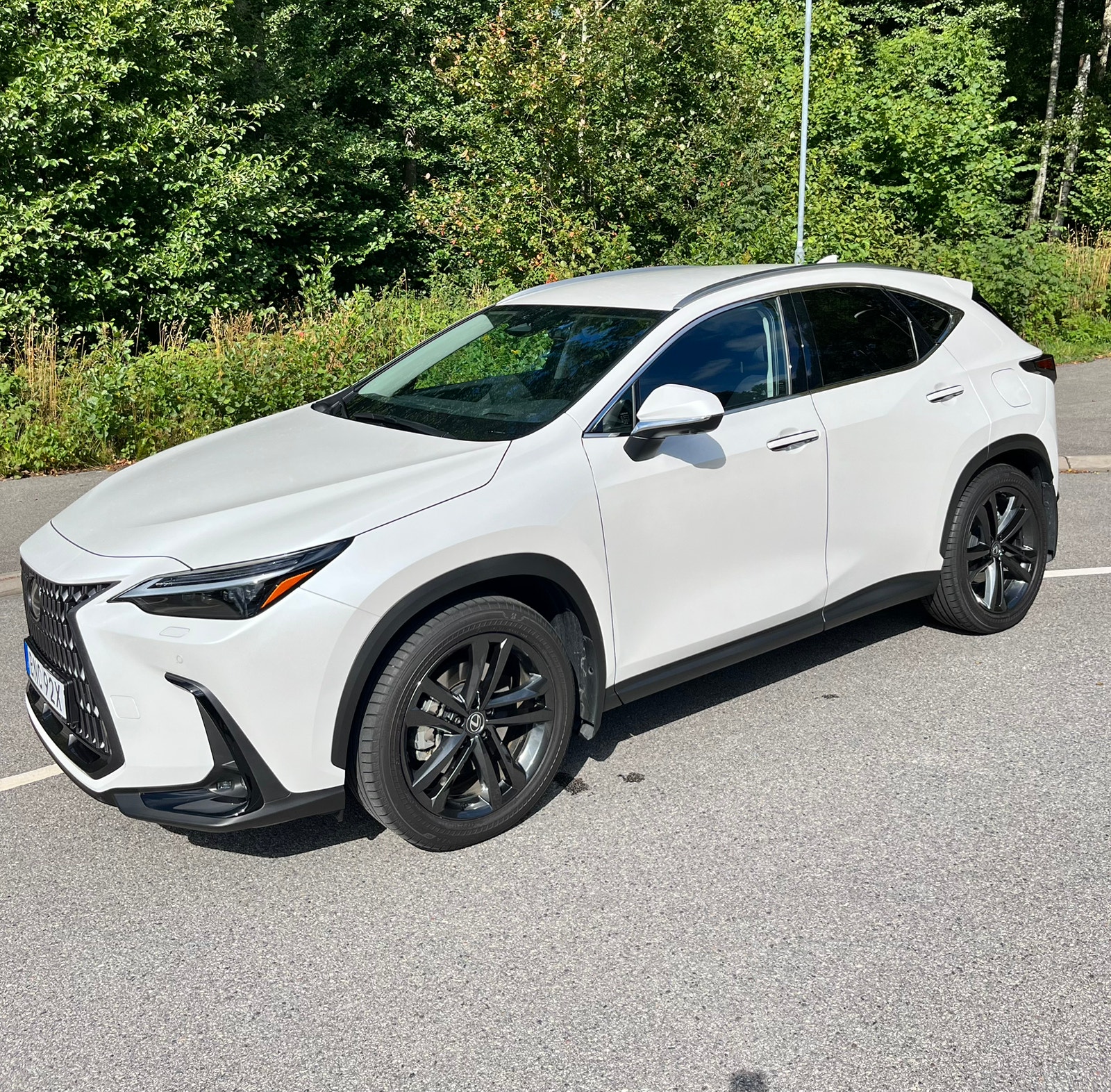 Lexus NX 450h+ E-CVT, 309hp, 2025