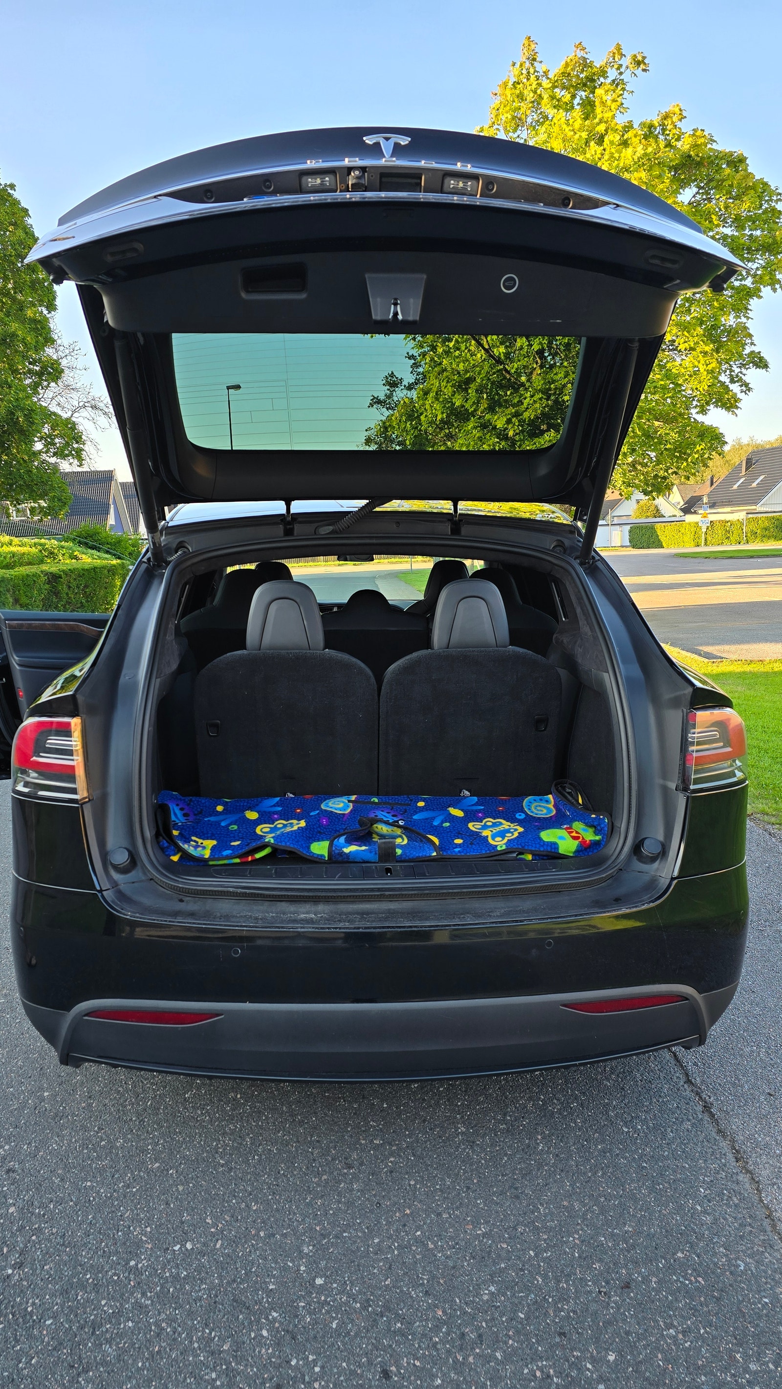 Tesla Model X Long Range, 423ps, 2020