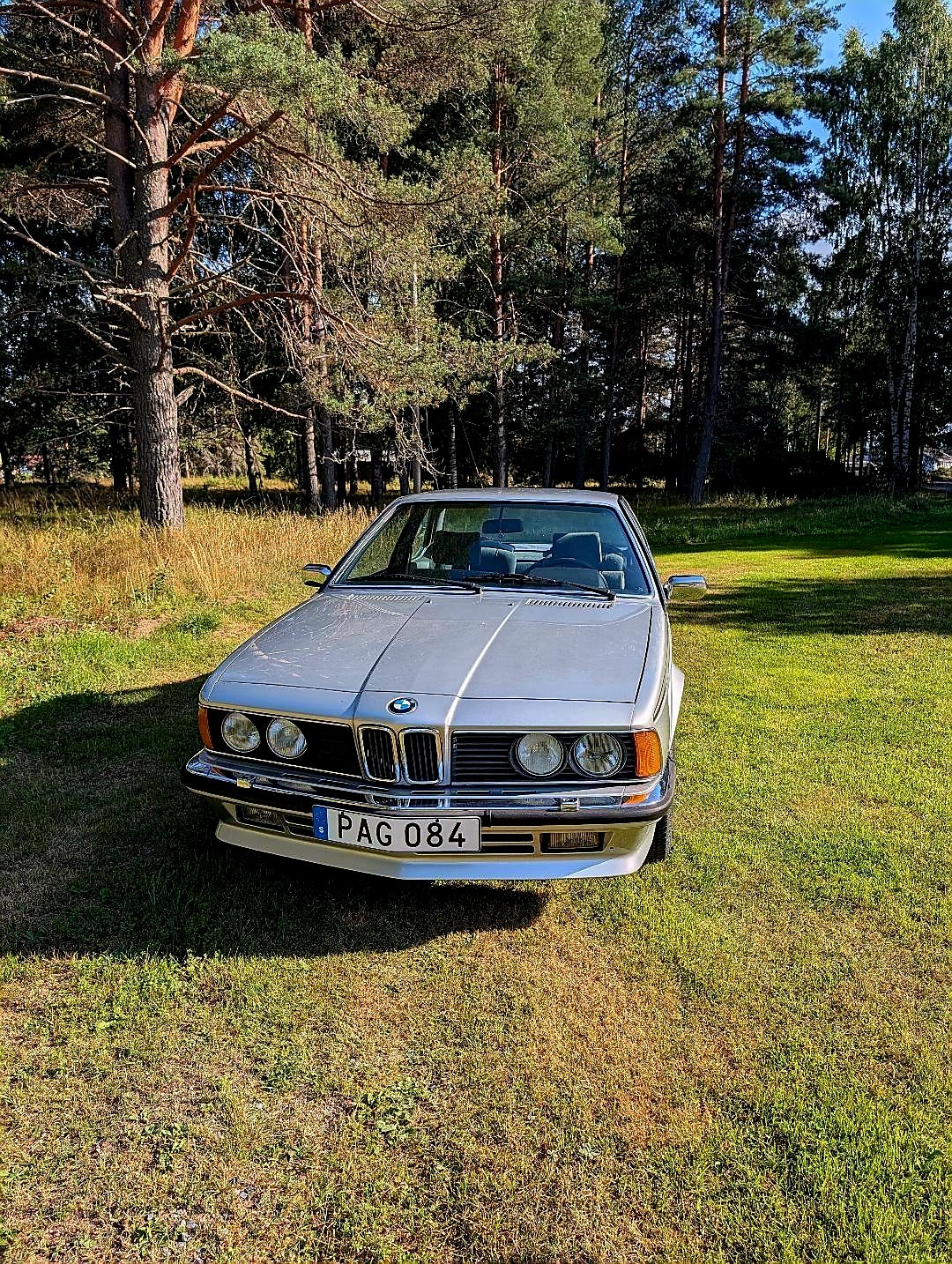 BMW 635CSi Automatic, 4-trins, 197ps, 1983